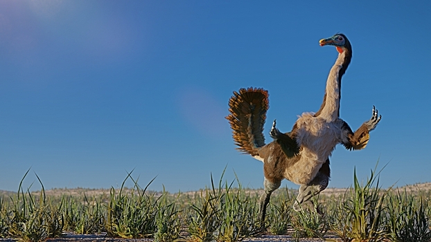 Похожих на гигантских страусов динозавров обнаружили  в России