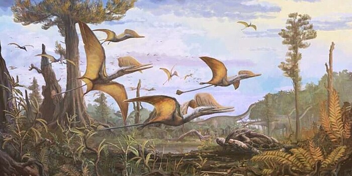 На острове Скай нашли новый вид птерозавров