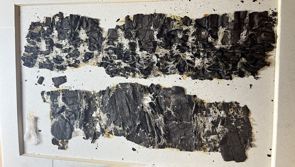 Обугленный свиток из окрестностей Помпеев расшифровал ИИ. Ученые бились над этим 250 лет3