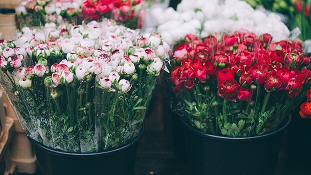 Оценен рост цен на букет цветов к 8 Марта за год