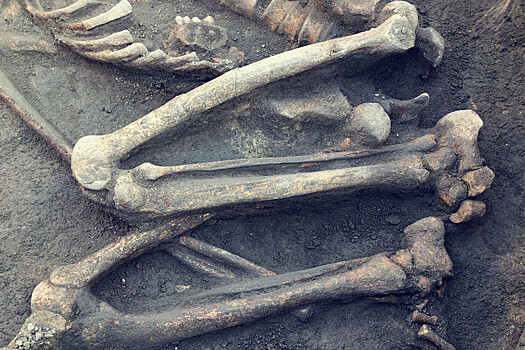 Установлено предназначение древних артефактов из костей