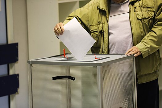Пискарев: за границей планируют акции по дискредитации выборов в России
