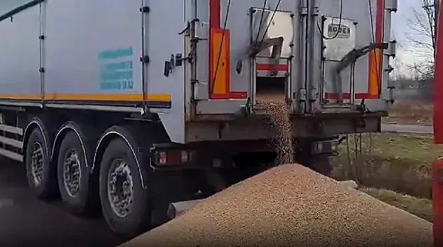 В Польше расследуют инцидент с высыпанным из украинских грузовиков зерном