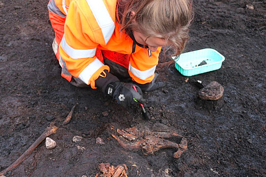 Полиция Ирландии обнаружила в болоте останки подростка возрастом более 2 тыс. лет