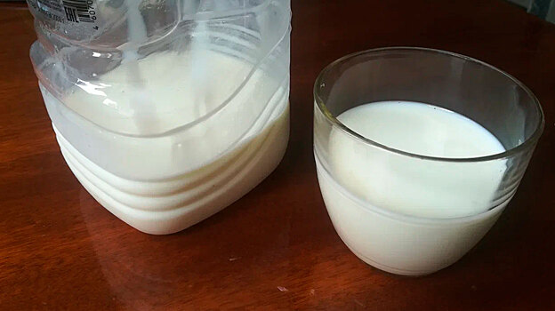 Чем опасна замена молока пальмовым маслом