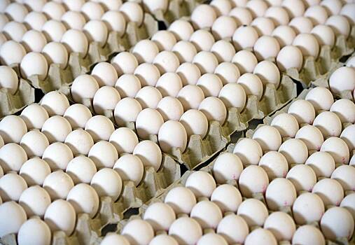 Российский путешественник рассказал о ценах на яйца в Европе
