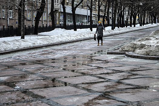 Москвичам пообещали теплую погоду в последнюю неделю февраля