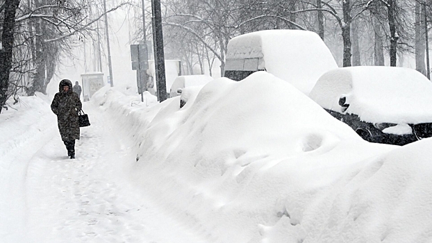 Синоптик объяснил сильный снегопад в столице встречей двух «борцов сумо»