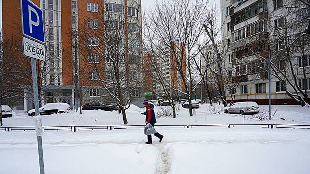 Синоптик спрогнозировала снегопад в Москве в ночь на 4 февраля