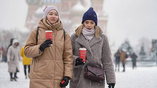 Синоптики пообещали москвичам теплую и снежную погоду 17 февраля