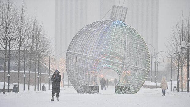 Синоптики рассказали о последней зимней неделе в Москве