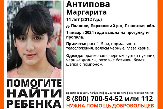 СК возбудил уголовное дело после исчезновения российской школьницы