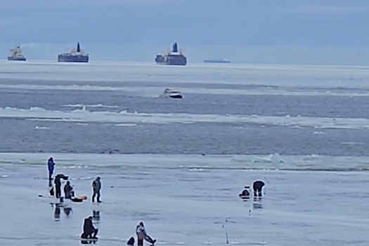 Сотрудники МЧС спасли 35 рыбаков с отколовшейся льдины в Финском заливе
