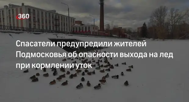 Спасатели предупредили жителей Подмосковья об опасности выхода на лед при кормлении уток0