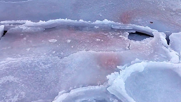 Ученые обнаружили красный лед у берегов Приморского края