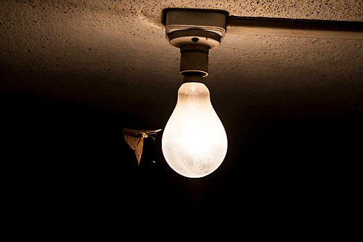 Выяснилось, почему насекомые кружатся вокруг источников света в ночное время