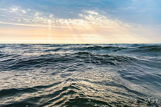 Ученые выяснили, кто вырыл миллионы загадочных ям в Северном море