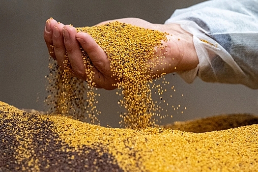 Украина потребует компенсаций от Польши за рассыпанное зерно
