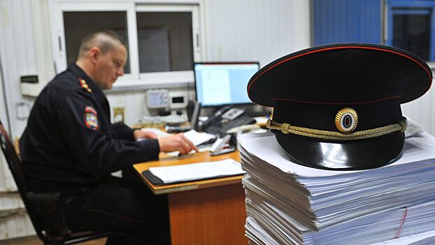 У москвича похитили рюкзак с 33 миллионами рублей