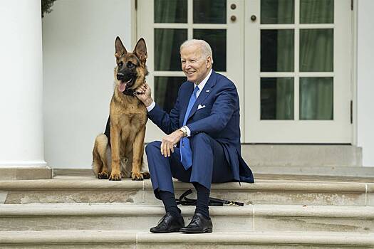 В Белом доме подсчитали количество нападений пса Байдена на секретных агентов