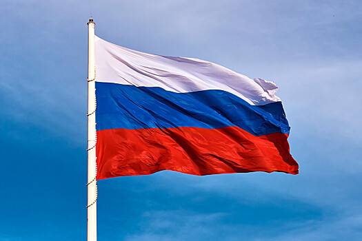 В Думе предложили сделать обязательной церемонию поднятия флага для школ в РФ