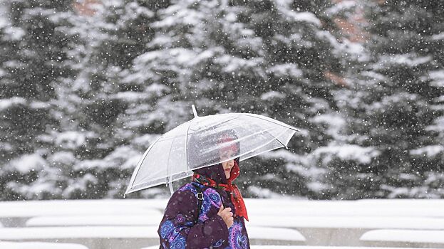 Москвичей предупредили о снегопаде с метелью в среду