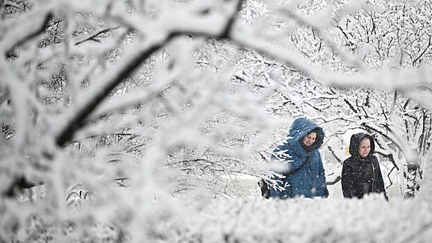 В Москве ожидается снег и до минус 10 градусов