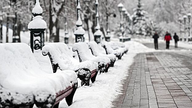 В Москве побит суточный рекорд снежного покрова 122-летней давности
