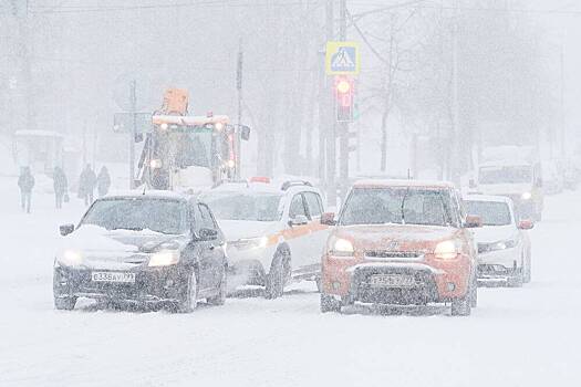 В Москве выпало два метра снега