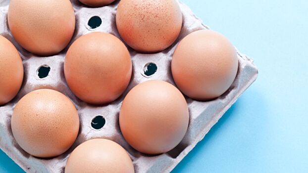 В России нашли свалку из куриных яиц