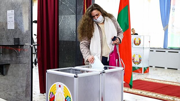 В Совфеде РФ оценили уровень организации выборов в Белоруссии