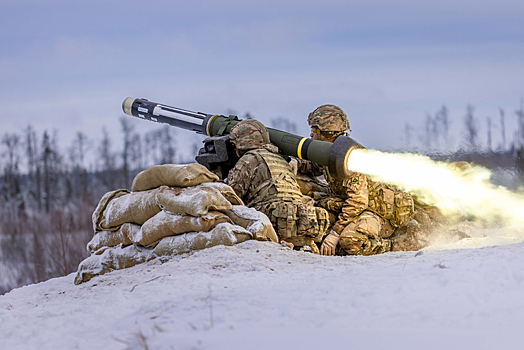 Военные НАТО провели в Эстонии учения в суровых зимних условиях