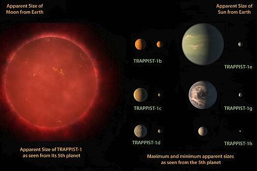 Выявлена вероятность существования жизни в системе TRAPPIST-1