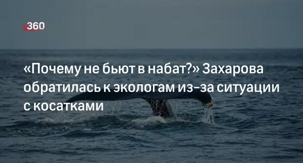 Захарова задалась вопросом, куда пропали экологи после ситуации с косатками0