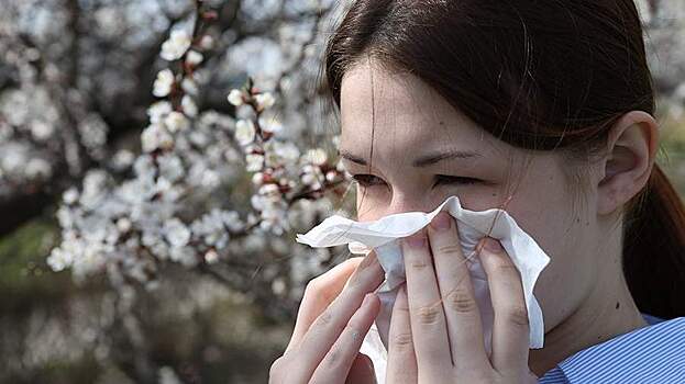 В России начнется сезон «пыльцевых бурь»