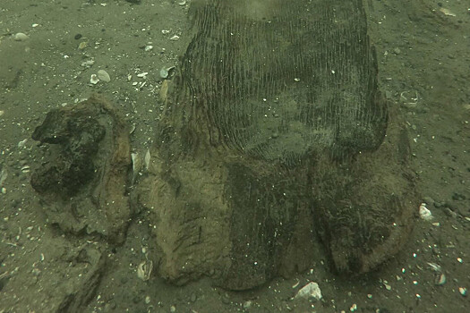 Археологи нашли на дне Средиземного моря древнейшие каноэ