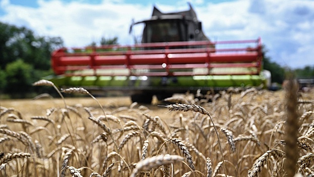 Цены на российскую пшеницу стали расти впервые с начала года