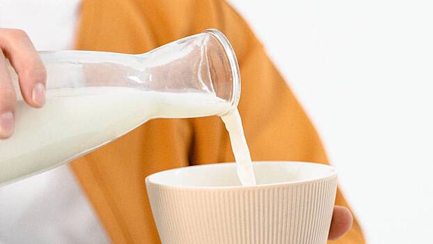 Молочными продуктами можно заменить до 40 процентов рациона