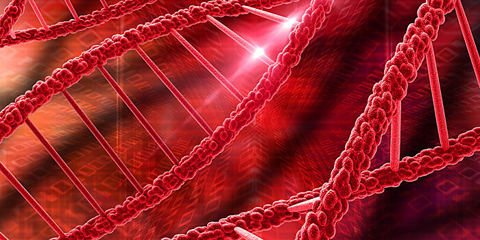 Меняется ли у человека в течение жизни группа крови и ДНК
