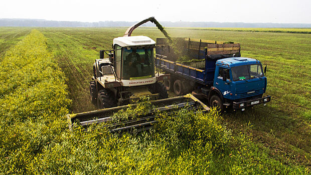 Американские фермеры выступают против тренда на экологичность