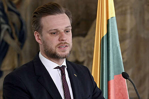 Глава МИД Литвы раскритиковал Запад после ударов ВС РФ по энергообъектам Украины