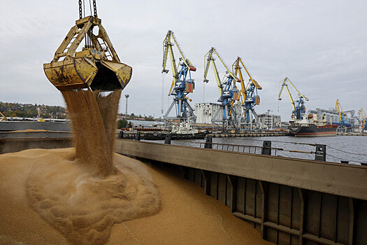 Чехия выступила против поставок зерна из РФ и Белоруссии в Европу