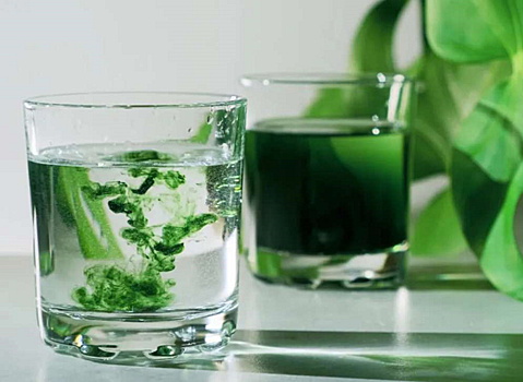 Хлорофилл: полезно ли пить зеленую воду или это очередная уловка маркетологов