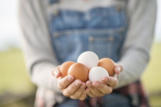 Условия хранения яиц в домашних условиях