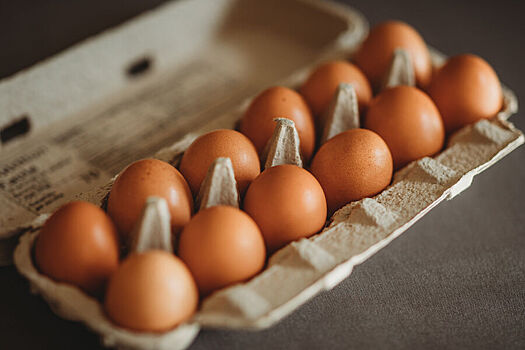 Казахстан увеличит поставки яиц в Россию