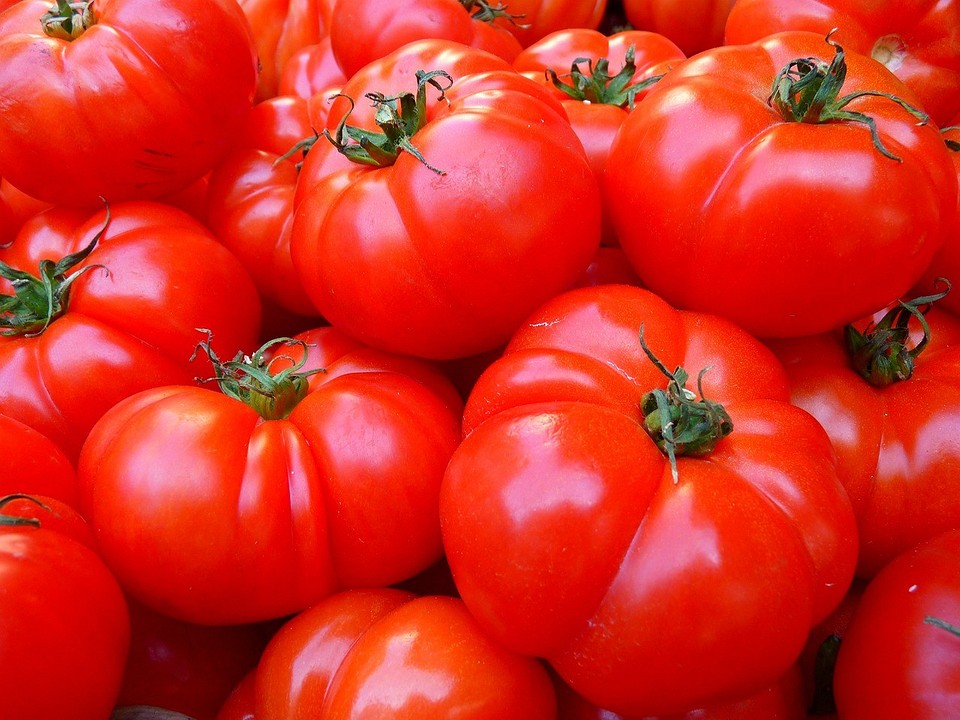 Когда сажать помидоры в 2024: благоприятные дни по посевному и лунному календарю3