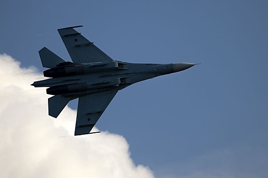 Летчик Су-35 голосом отвел ракету от самолета товарища