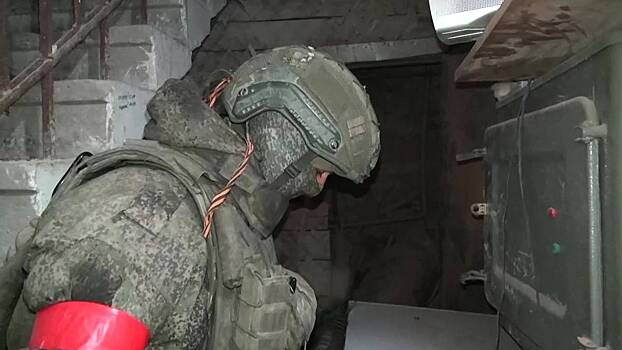 Минобороны раскрыло потери ВСУ при попытке атак ДРГ на Белгородскую область