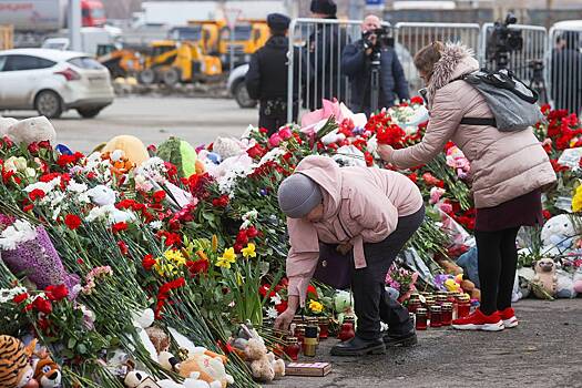 Мошенники прикинулись жертвами после теракта в «Крокусе»