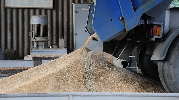Политолог объяснил, зачем Европе нужны пошлины на российское зерно